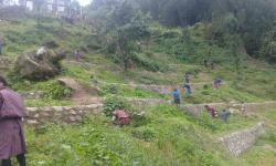 Plantation